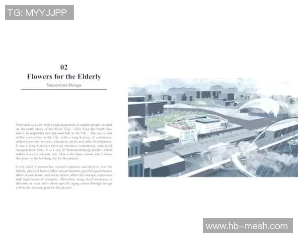 纽卡斯尔城市文化探索与历史遗产的深度解读与展望