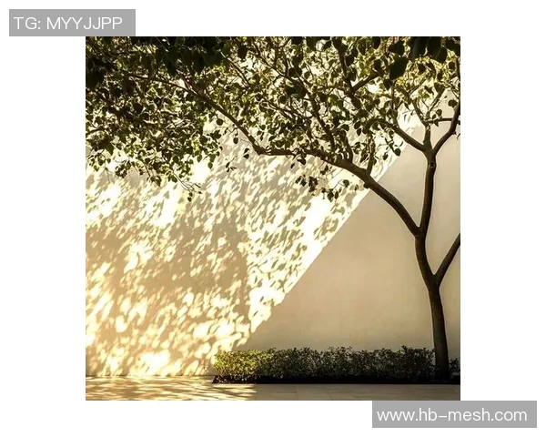 探索光影世界的奥秘:从基础摄影技巧到创意表现的全面指南 探索光影世界的奥秘:从基础摄影技巧到创意表现的全面指南