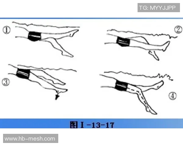 仰泳基本技巧解析与提高方法全面指南