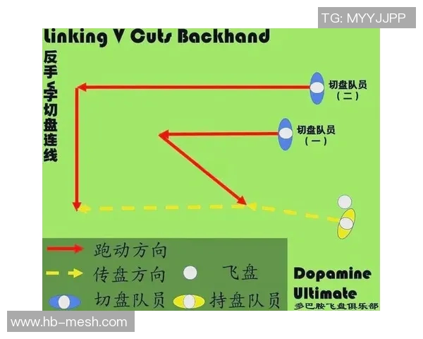 飞盘战术揭秘:北京飞盘队如何实现整体压制与协同作战